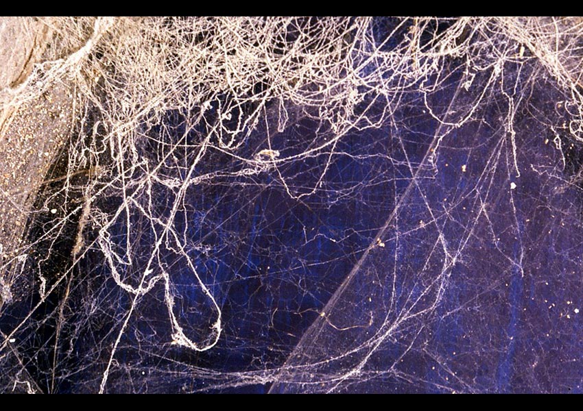Webs, spider web detail, installation, Arnolfini, Bristol, 1997