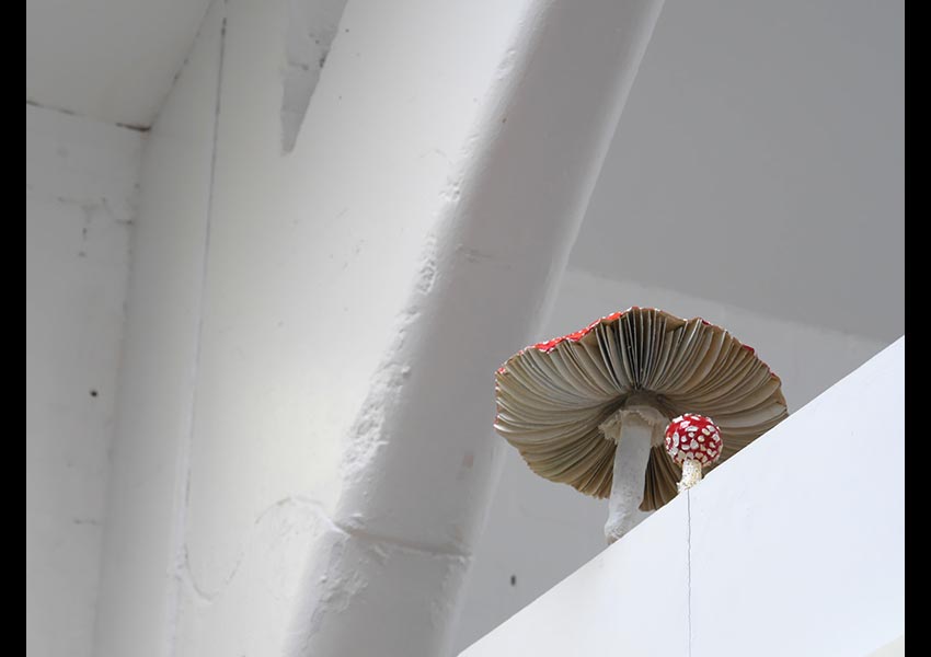 Fly Agaric, Installation, oil pigment and paper, 2015